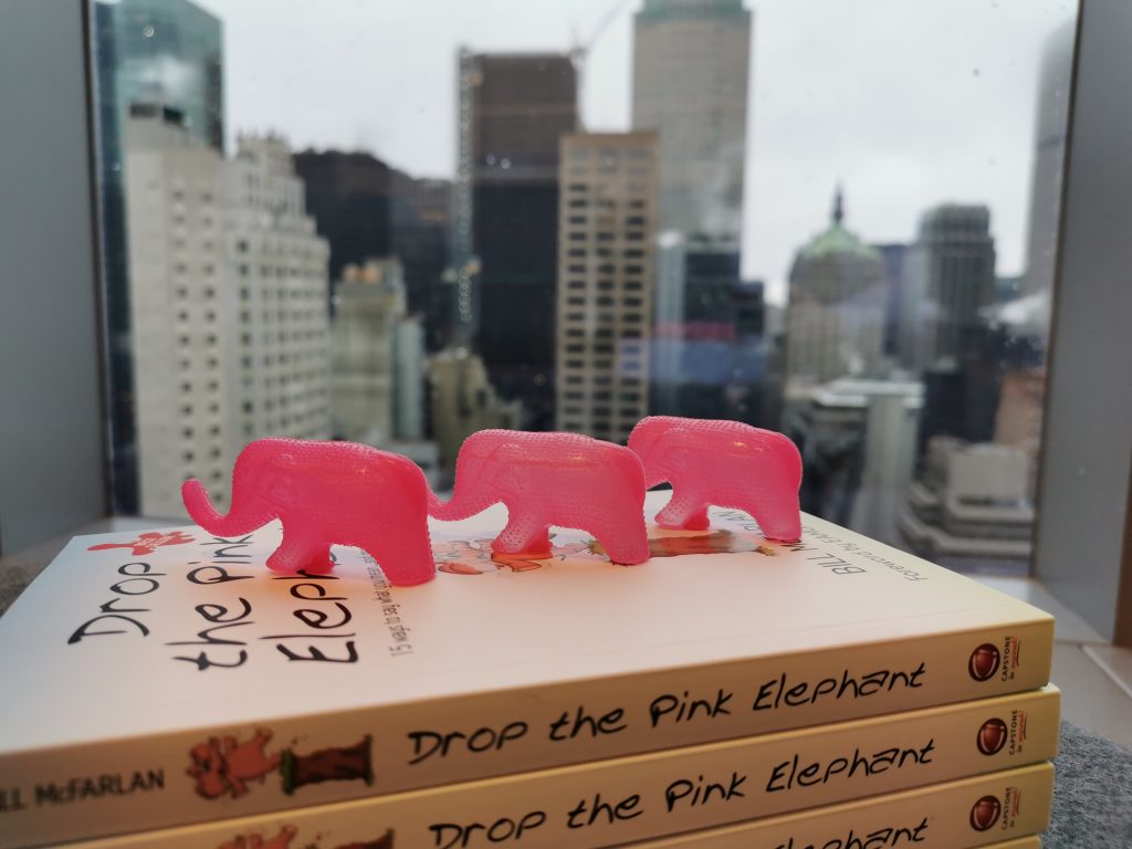clear communication, presentation skills glasgow, pink elephant