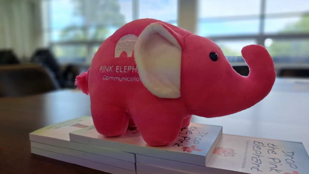effective communication skills,pink elephant nellie, media interview tips
